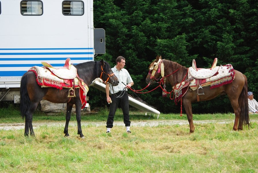 Le Moussem des Cultures 2008 116.jpg